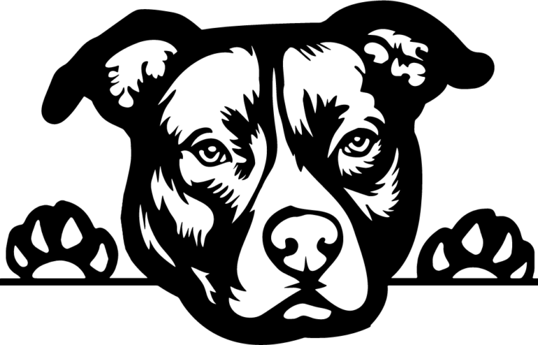 Black and white dog face peeking over a line with two visible front paws