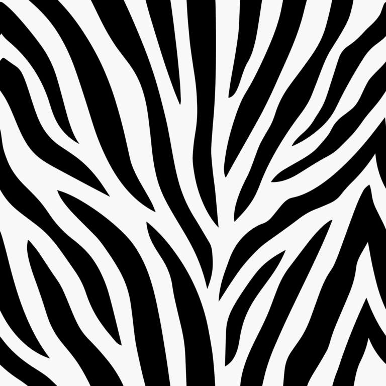 Bold black zebra-like stripes branching across a white background